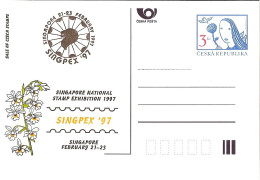 CDV A 21 Czech Republic Singpex 1997 Lion Cachet - Cartoline Postali