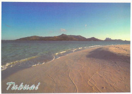 Polynésie Française TUBUAI L'île De TUBUAI Vue Depuis Le Motu One /T Sylvain  Photo DON TRAVERS 1390  Tahiti *PRIX  FIXE - Polynésie Française