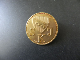 Old Badge - Schweiz Suisse Switzerland - Bern SKJ Berufsschule Für Krankengymnastik Inselspital Bern - Sin Clasificación