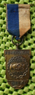 Medaille: Eendracht Maakt Macht , Delft. + 1955. -  Original Foto  !!  Medallion  Dutch - Andere & Zonder Classificatie