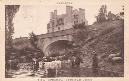 22 Gouarec Bain Des Vaches CPA Hotel Du Blavet , Vache - Gouarec