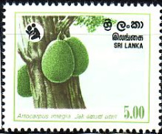 Sri Lanka Mi.Nr. 569 Erhaltung Der Wälder, Brotfruchtbaum (4(R)) - Sri Lanka (Ceylon) (1948-...)