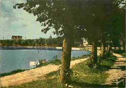 91 - Vigneux Sur Seine - Le Lac Bleu - Cygnes - CPM - Voir Scans Recto-Verso - Vigneux Sur Seine