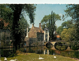 Belgique - Bruges - Brugge - CPM - Voir Scans Recto-Verso - Brugge