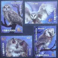 Rumänien    Vögel   2022  ** - Owls