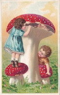 CHAMPIGNONS ET LE COCHON CACHE            CARTE EN RELIEF - Pilze