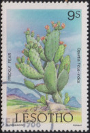 1986 Lesotho ° Mi:LS 560, Sn:LS 516, Yt:LS 667, Sg:LS 678, Prickly Pear, Flora And Fauna Of Lesotho, Kaktus - Lesotho (1966-...)
