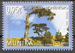 Montenegro 2015 European Nature Protection Tree Plants Munika Pinus Heldreichii, MNH - Montenegro