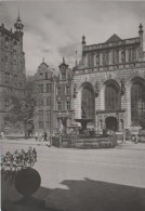 8676 - Polen - Danzig Gdansk - Dwor Artusa - 1960 - Pologne