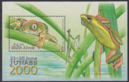 Südafrika Mi.Nr. Block 81 Briefmarkenausstellung JUNASS 2000, Natal-Waldsteiger - Andere & Zonder Classificatie