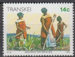 Südafrika - Transkei Mi.Nr. 184 Freim. Kultur Der Xhosa, Bauern A.Maisfeld (14) - Autres & Non Classés