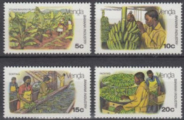 Südafrika - Venda Mi.Nr. 30-33 Bananenanbau (4 Werte) - Andere & Zonder Classificatie