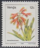 Südafrika - Venda Mi.Nr. 111 Freim. Blumen, Clivia Caulescens (12) - Autres & Non Classés