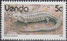 Südafrika - Venda Mi.Nr. 124x Freim. Reptilien, Skink (5) - Andere & Zonder Classificatie