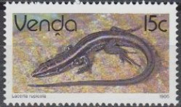 Südafrika - Venda Mi.Nr. 130x Freim. Reptilien, Eidechse (15) - Andere & Zonder Classificatie