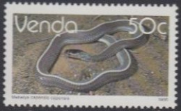 Südafrika - Venda Mi.Nr. 134x Freim. Reptilien, Feilennatter (50) - Andere & Zonder Classificatie