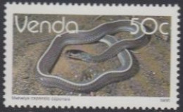 Südafrika - Venda Mi.Nr. 134x Freim. Reptilien, Feilennatter (50) - Other & Unclassified