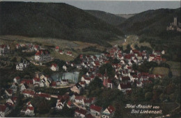 94224 - Bad Liebenzell - Total-Ansicht - 1918 - Calw