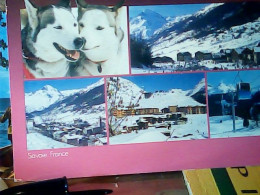 FRANCE VAL CENIS VUES CANE DOG  VB1992 JV5871 - Val Cenis