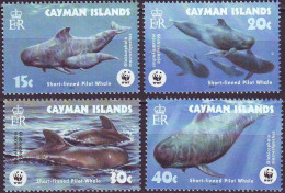 CONGO - WWF  WHALE - **MNH - 2003 - Nuevos