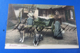 Laitière Flamande  Melkkar Ambulante Verkoop Petit Metiers 2 X Cpa  Bruxelles Brussel - Shopkeepers