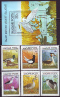 HUNGARY - BIRDS - **MNH - 1980 - Grues Et Gruiformes