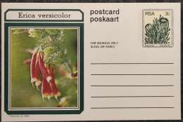 3c SOUTH AFRICA Postal STATIONERY CARD Illus ERICA VERSICOLOR FLOWER Cover Stamps Flowers Rsa - Cartas & Documentos