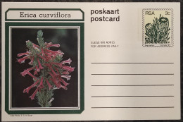 3c SOUTH AFRICA Postal STATIONERY CARD Illus ERICA CURVIFLORA FLOWER Cover Stamps Flowers Rsa - Brieven En Documenten