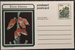 3c SOUTH AFRICA Postal STATIONERY CARD Illus ERICA BLENNA FLOWER Cover Stamps Flowers Rsa - Cartas & Documentos