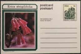 3c SOUTH AFRICA Postal STATIONERY CARD Illus ERICA STRIGILIFOLIA FLOWER Cover Stamps Flowers Rsa - Brieven En Documenten