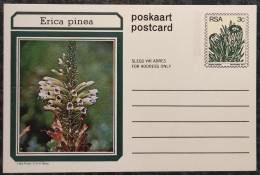 3c SOUTH AFRICA Postal STATIONERY CARD Illus ERICA PINEA FLOWER Cover Stamps Flowers Rsa - Cartas & Documentos