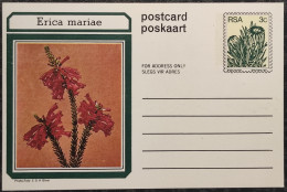 3c SOUTH AFRICA Postal STATIONERY CARD Illus ERICA MARIAE FLOWER Cover Stamps Flowers Rsa - Storia Postale