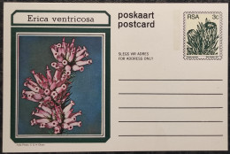 3c SOUTH AFRICA Postal STATIONERY CARD Illus ERICA VENTRICOSA FLOWER Cover Stamps Flowers Rsa - Lettres & Documents