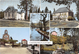 87-CHATEAUNEUF LA FORET-N°T281-B/0173 - Chateauneuf La Foret