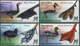 Belarus 2023. Features Of Waterfowl (MNH OG) Set Of 4 Stamps - Bielorrusia