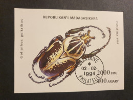 Madagaskar - Käfer - Goliathus - Madagascar (1960-...)