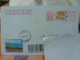 China Posted Cover，year Of Dragon ATM Postmark - Buste