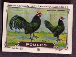 Nestlé - 50B - Poules, Chickens - 10 - Javas Noires (Bantams) - Nestlé