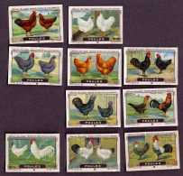 Nestlé - 51B - Poules, Chickens - Serie (no 3 & 7 Missing) - Nestlé