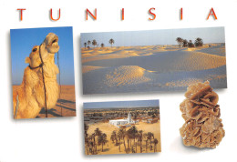 TUNISIE LE GRAND SUD - Tunisie