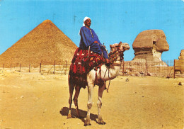 EGYPT GIZA CAMEL - Guiza