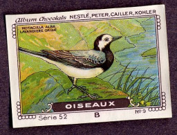 Nestlé - 52B - Oiseaux, Birds - 9 - Lavandiere Grise, Bergeronnette Grise, White Wagtail, Witte Kwikstaart - Nestlé