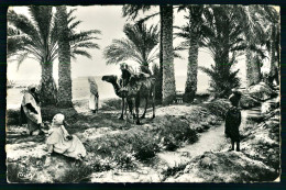 A70  ALGERIE CPSM BISKRA ( CONSTANTINE ) - DANS L' OASIS - Collections & Lots