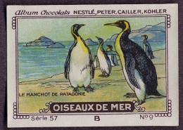 Nestlé - 57B - Oiseaux De Mer, Seabirds - 9 - Le Manchot De Patagonie - Nestlé