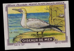 Nestlé - 57B - Oiseaux De Mer, Seabirds - 11 - Le Fou, Fou De Bassan, Northern Gannet - Nestlé