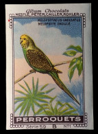 Nestlé - 59B - Perroquets, Parrots - 1 - Melopsitte Ondule, Budgerigar, Pet Parakeet, Melopsittacus Undulatus - Nestlé