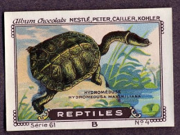 Nestlé - 61B - Reptiles - 4 - Hydromeduse, Snake-necked Turtle - Nestlé
