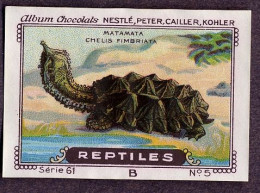 Nestlé - 61B - Reptiles - 5 - Matamata, Mata Mata, Turtle, Chelus Fimbriata - Nestlé