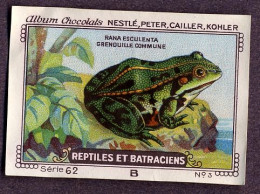 Nestlé - 62B - Reptiles Et Batraciens, Reptiles And Amphibians - 3 - Rana Esculenta, Edible Frog, Grenouille Verte - Nestlé