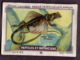 Nestlé - 62B - Reptiles Et Batraciens, Reptiles And Amphibians - 7 - Draco Volans, Flying Dragon - Nestlé